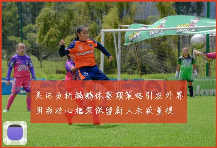 美记分析鹈鹕休赛期策略引发外界困惑核心框架保留新人未获重视